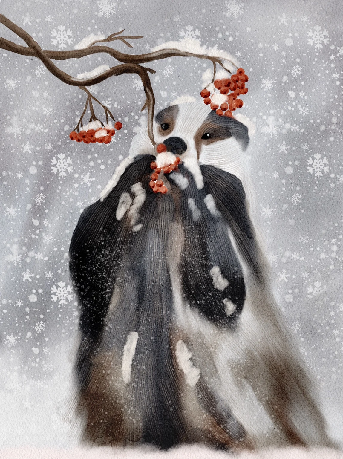 A badger beneath red berries and a bare branch in falling snow