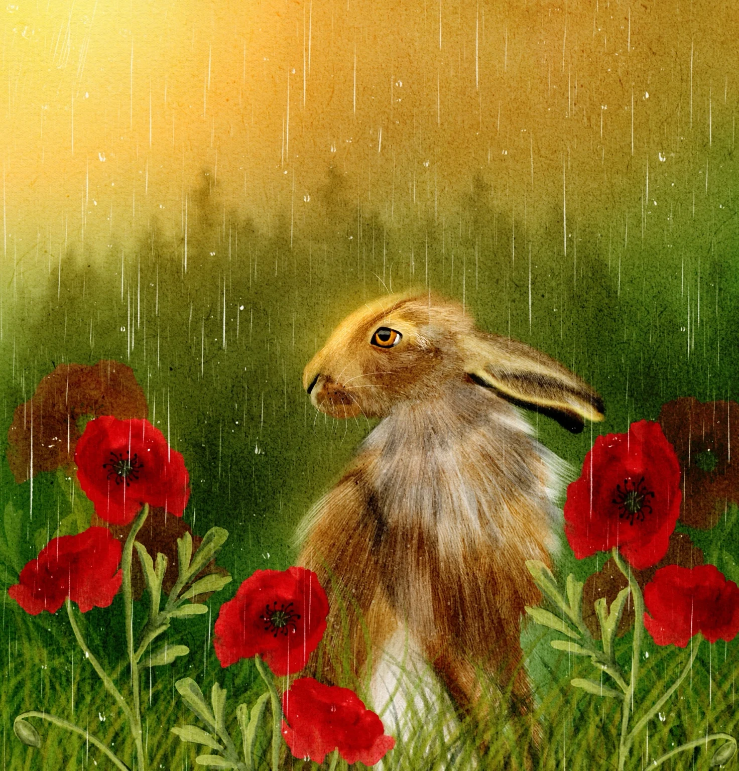 A hare among red poppies beneath golden rain and sunlight